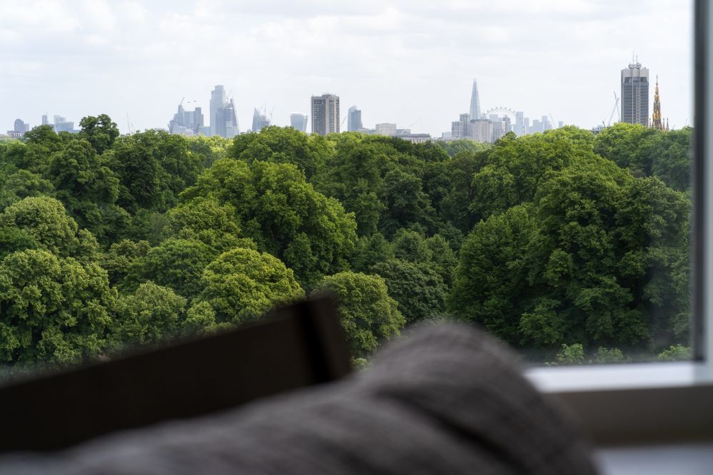 Royal Garden Hotel - View